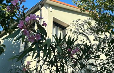 Casa Ermida - Photo 44