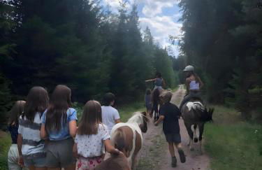 Das Falken Nest - Foto 8