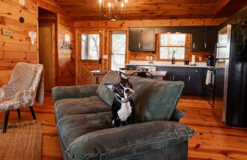 Quiet Ellijay Cabin 2 Master Ensuites, Stunning Views, Hot Tub, Dogs Welcome - Foto 53