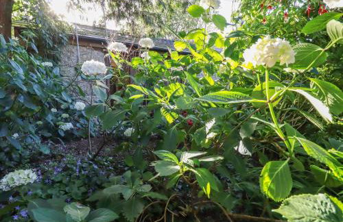 Carminow Barn - Foto 20