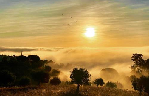 Casa Chão de Ourém, O charme em Montargil. - Foto 24