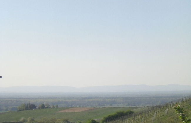 Holiday Apartment Kastanienhalde - Foto 21