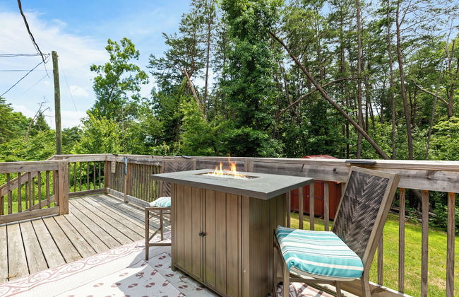 A Bearadise - Foto 18