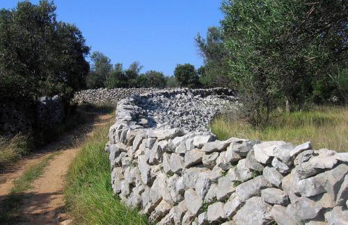 Holiday house with a parking space Olib - 18805 - Foto 13