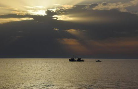 Salt and petals Downstairs - Foto 22