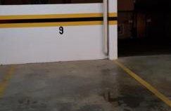 Flores da Montanha - Foto 48