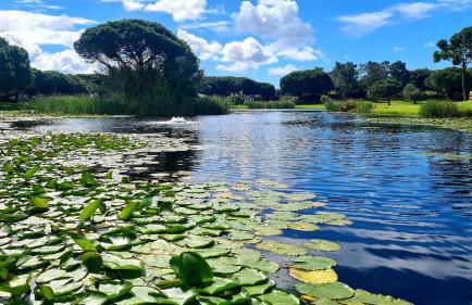 Green and Blue View Apartment Albufeira - Photo 88