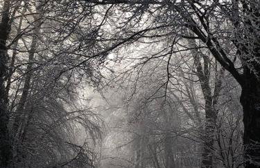 Private, Quiet Vermont Studio With Mountain Views - Foto 17