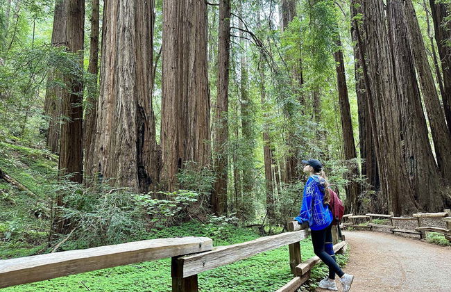 Excursión a Muir Woods y Sausalito - Foto 4