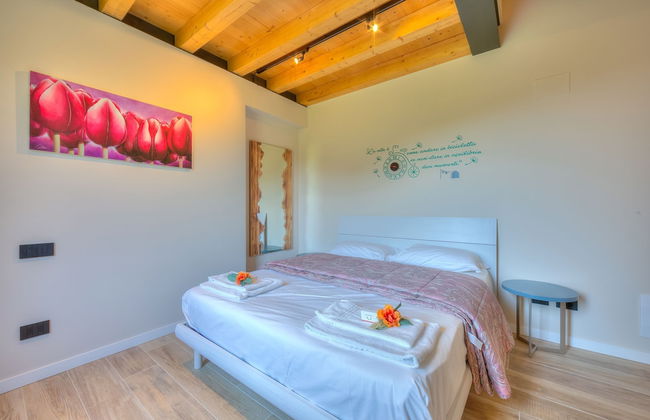 Ricomilla Holiday - Ulivo Innamorato - Foto 12