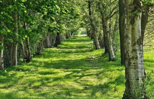 Holiday Home Luxuszeit zu Zweit by Interhome - Foto 34