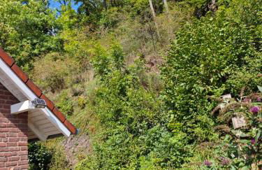 Ferienwohnung 2 Flüsse mit Dachterrasse für 6 Gäste und max 2 Hunde in 1A Lage - Foto 36