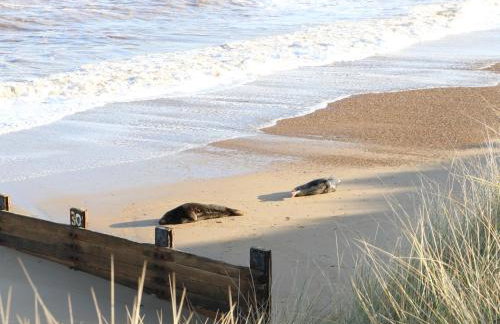 Holly Cottage - Photo 21