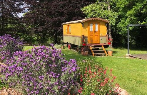 Roulotte La Chouette des Granges - Foto 1