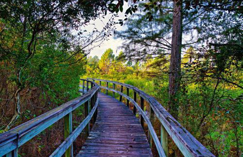 St James Bay Golf & Pickleball Resort - Foto 14