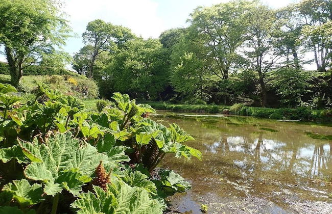 Millpond Chalet Retreat in Machynlleth - Foto 13