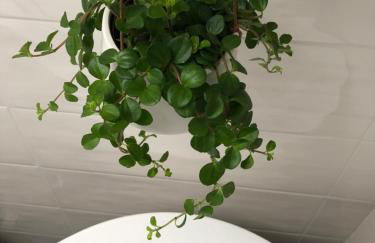 Gattaglio 22 Guest House - Foto 14