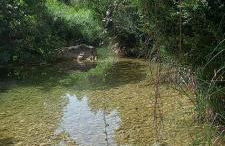 Els Ports d'Horta - Foto 74