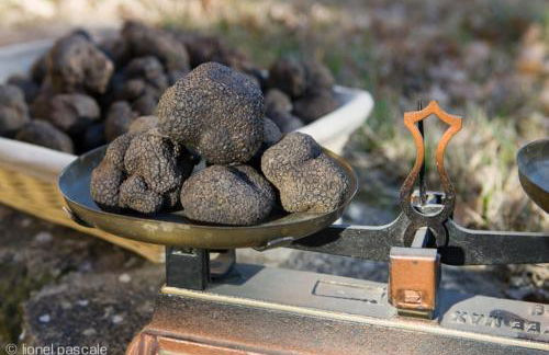 Studio - Fontaine - Foto 12