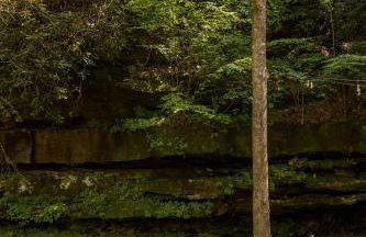 Modern Mirror Home w/ Hot-tub - “Glass House” #1 - Foto 11