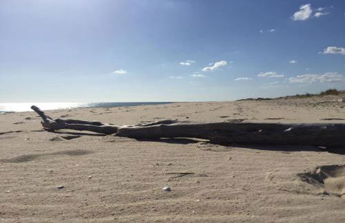 Pedras del Rei, Nature and Beach Apartment - Foto 57