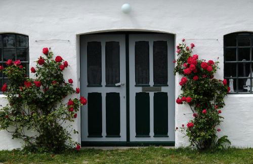 Windmühle Catharina - Foto 17