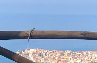 La Terrazza Del Duca - Foto 12