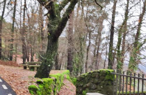 Gata Maitea -Apart Ama- Sierra de Gata - Foto 18