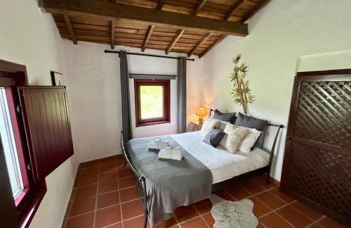 Quinta Alfaval - Foto 30