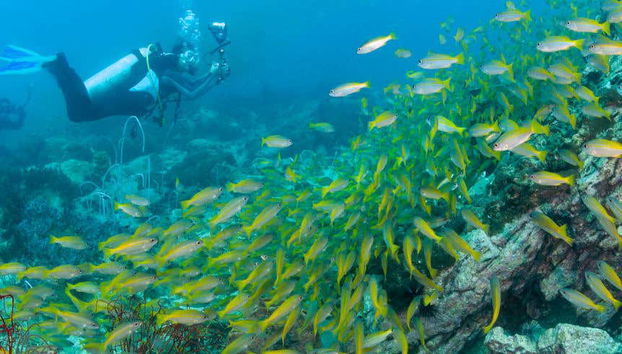 Curso PADI Advanced Open Water Diver