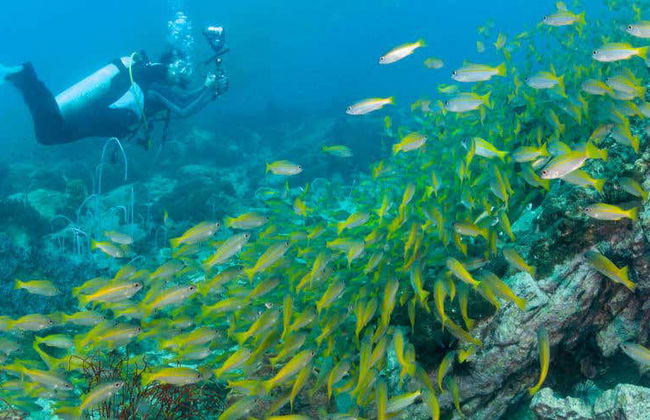 Curso PADI Advanced Open Water Diver - Foto 4