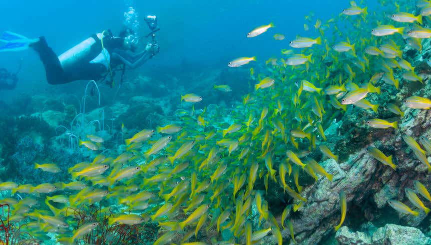 PADI Advanced Open Water Diver Course - Foto 1