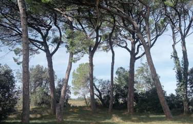 Gîte la lavande provençale - Foto 4