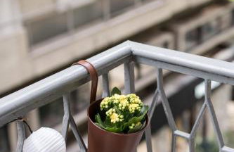 The Yellow Dot - Foto 16