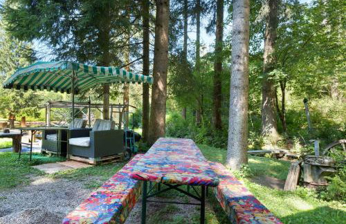 Grundhäusle Gütenbach - Foto 32