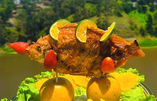 Hotel y Termales Castillo del Lago - Foto 57