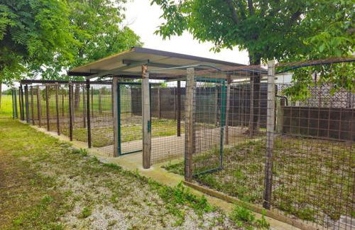 Casa Veronika - Foto 19