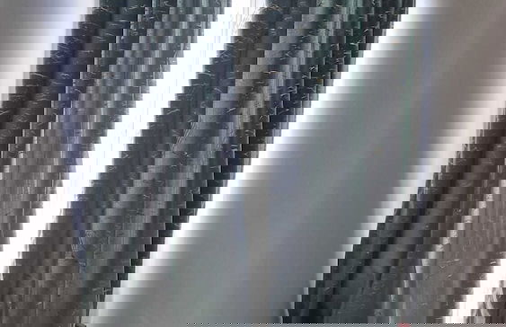 Apartments History 1870 - Foto 41