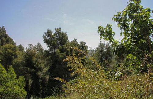 Refugio verde con encanto - Foto 26