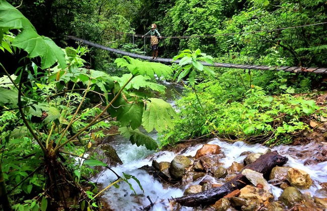 Villa Aloha - Foto 4