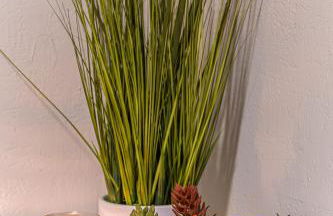 Cozy cabin on the Olympic Peninsula, Hot Tub - Foto 29