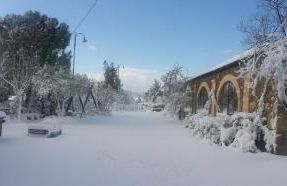 Agriturismo PETRA LUCANA - Photo 7