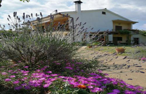 APARTMENT NORINA - Foto 8