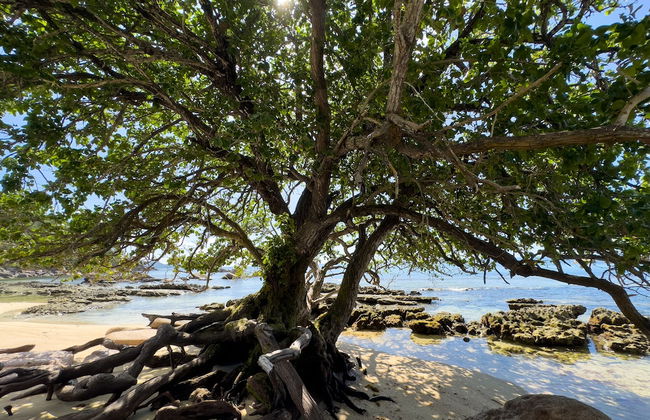 Sea Splash & La Petite Maison - Foto 75