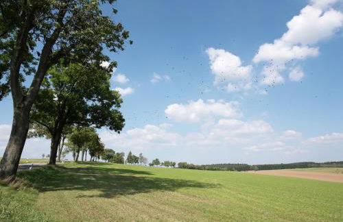 Cozy Escape in Walthersdorf - Foto 31