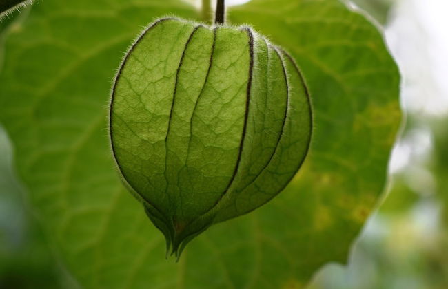 Quinta da Meia Eira - Foto 64