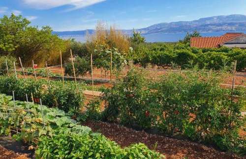 VILLA AGAPE - Three bedroom villa on 15k m2 olive grove - Incredible 360 view - Free parking - Private pool and jacuzzi - Foto 23