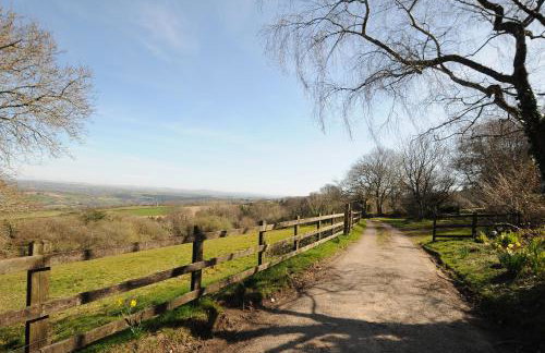 Rose Cottage - Photo 35