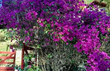 Casa Bosque das Pedras - Foto 4