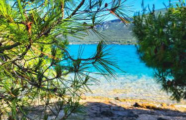 Mala Kuća - Photo 32